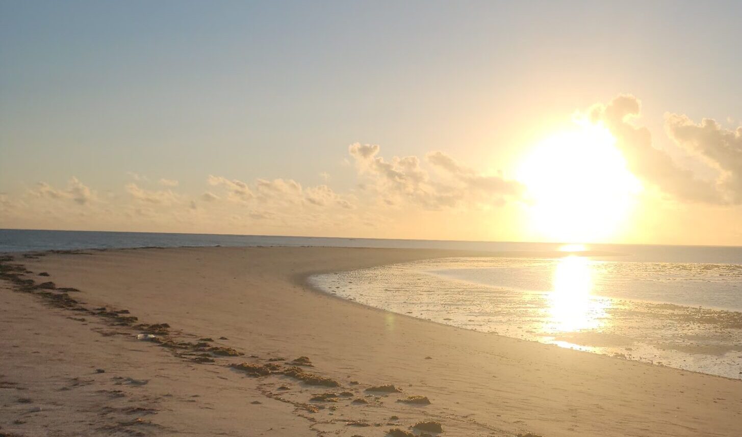 tanzania safari (14)